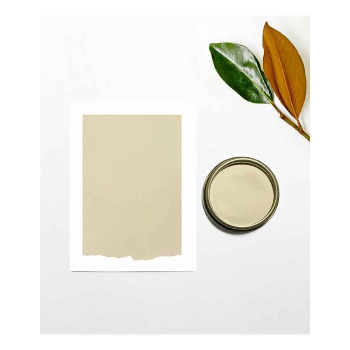 Chalk and Clay Paint For Furniture - Barley White