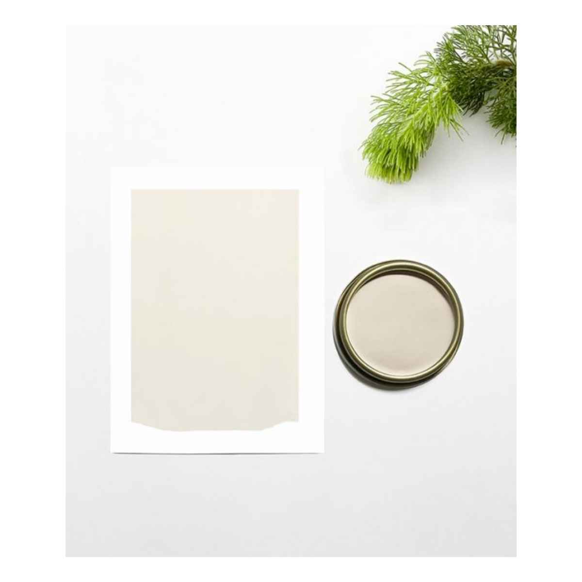 Chalk and Clay Paint For Furniture - Parchment