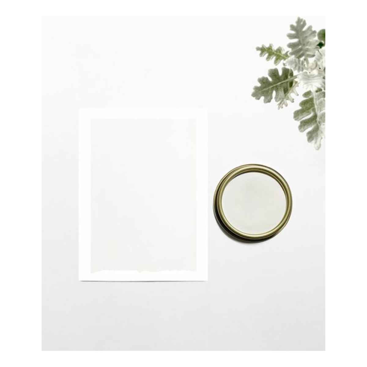 Chalk and Clay Paint For Furniture - Plaster White 250ml