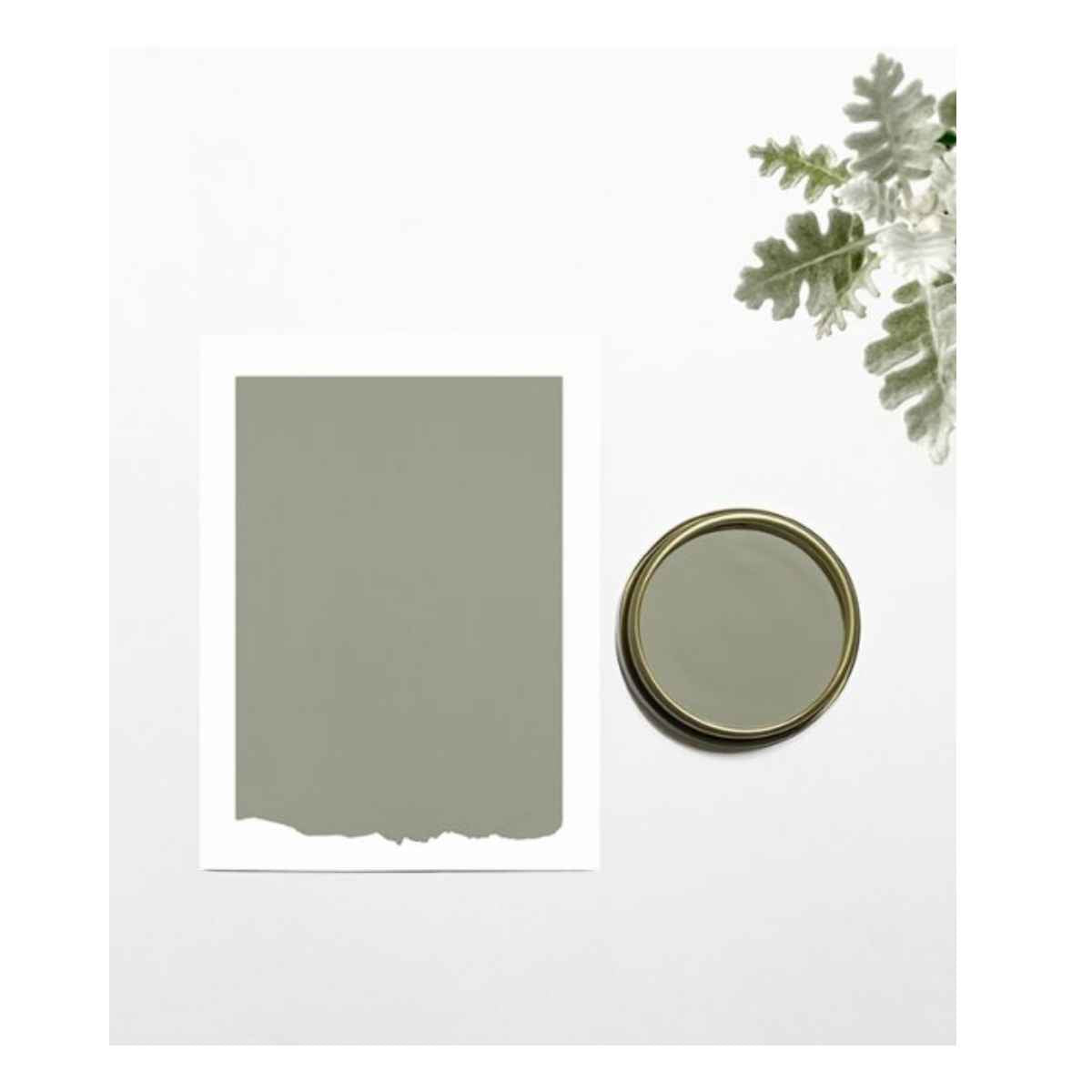 Chalk and Clay Paint For Furniture - Terrace Green 250ml