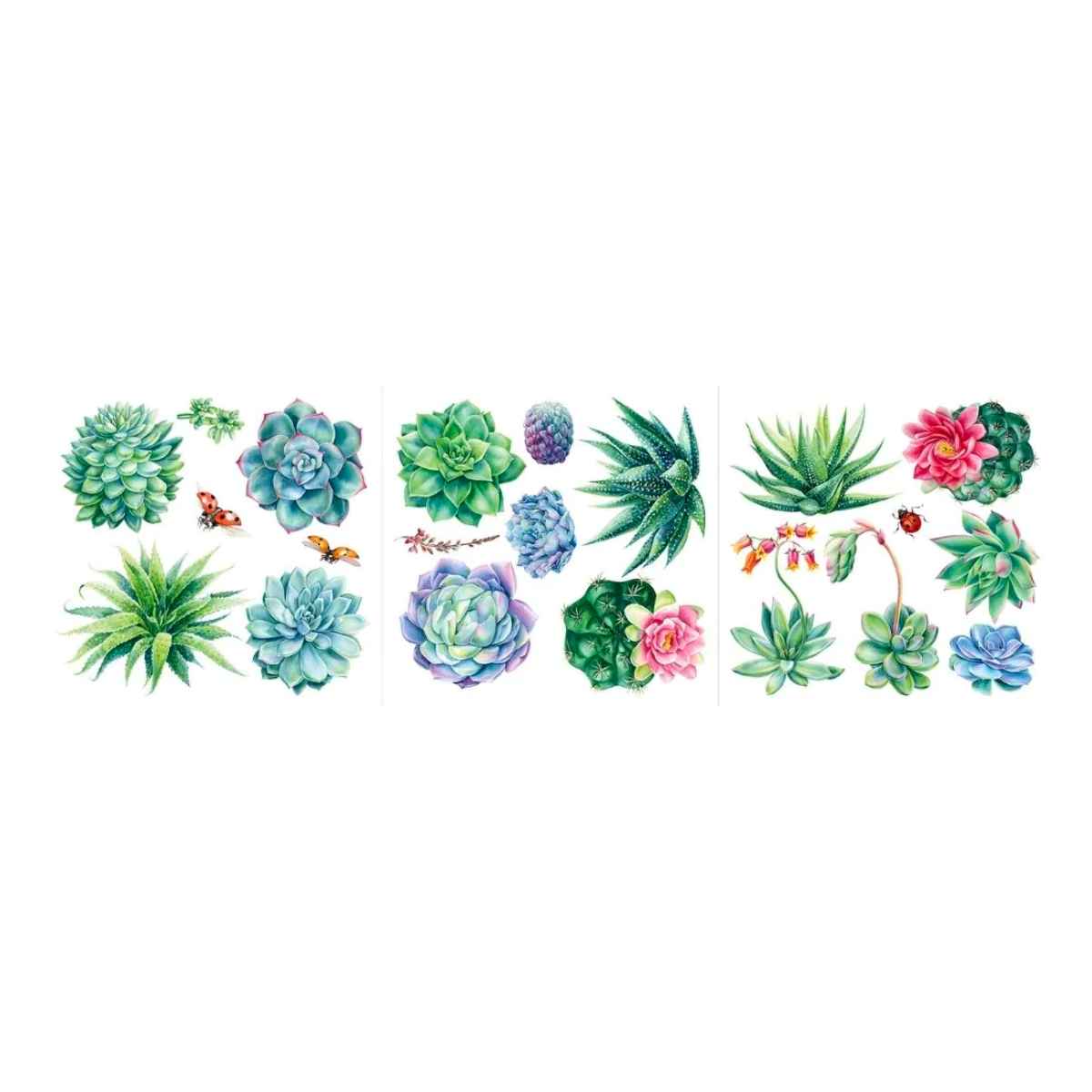 Hokus Pokus Decor Transfer Decal - Sheilam Succulents