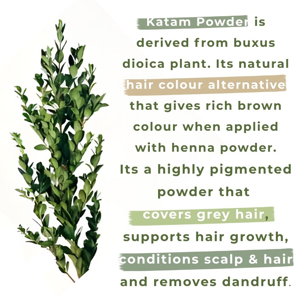 buxus dioica powder for hair dye