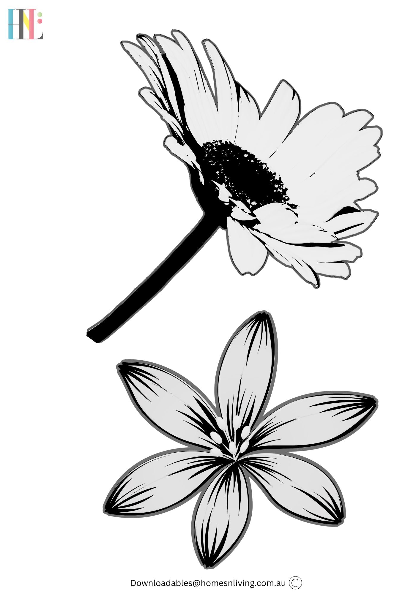daisy flower download digital