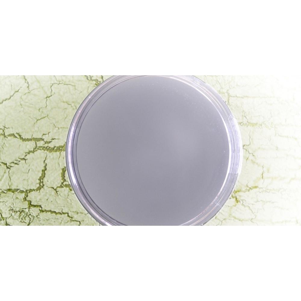 crackle texture paint