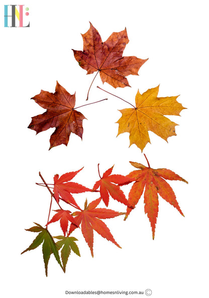 autumn leaves