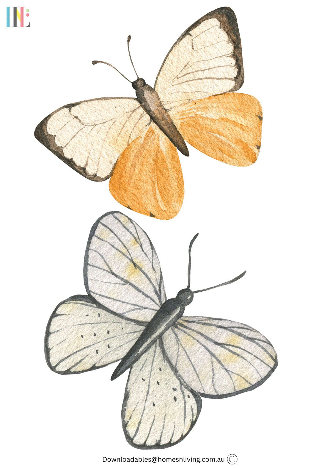 butterflies pdf download