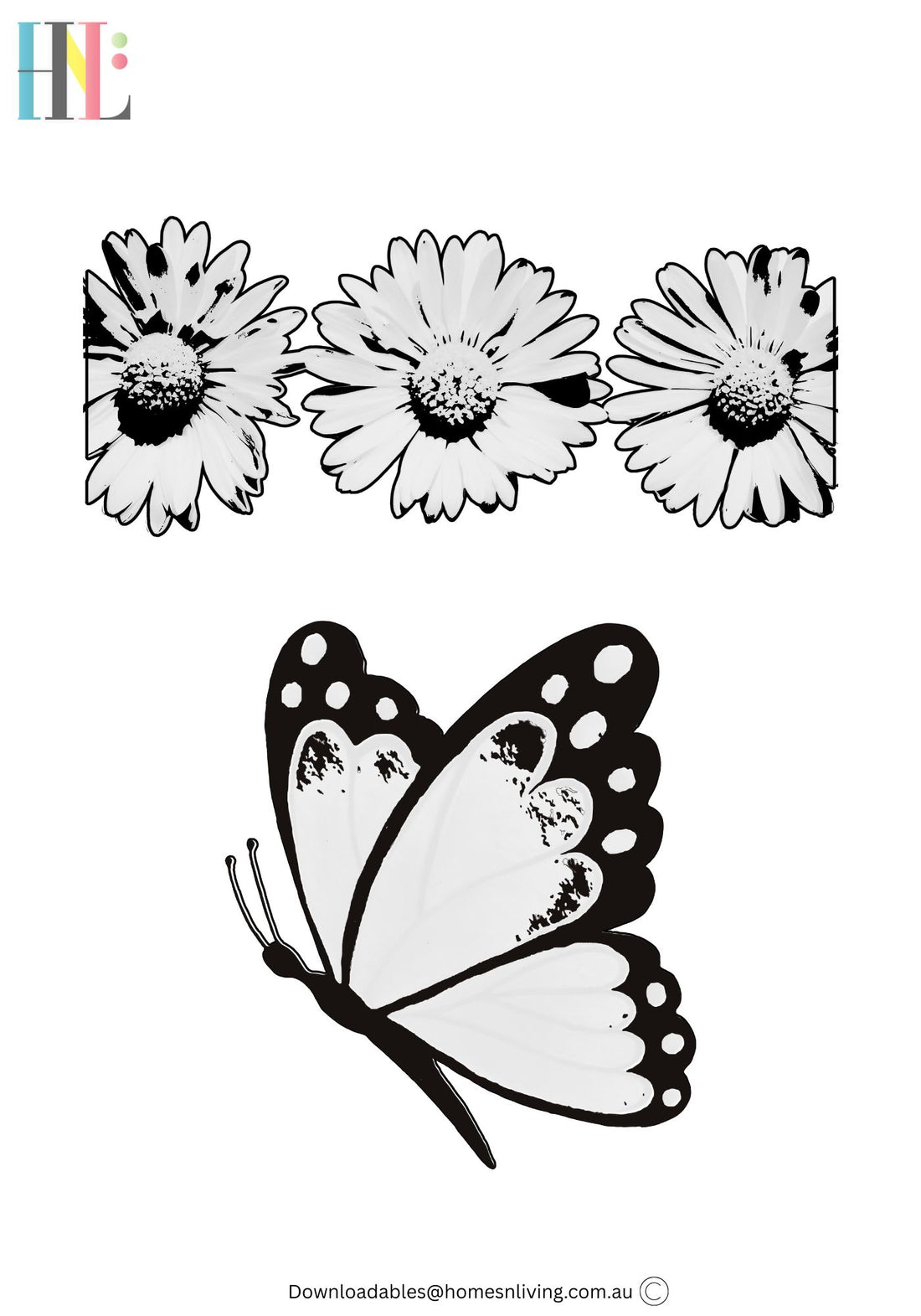 butterfly and daisy flowers