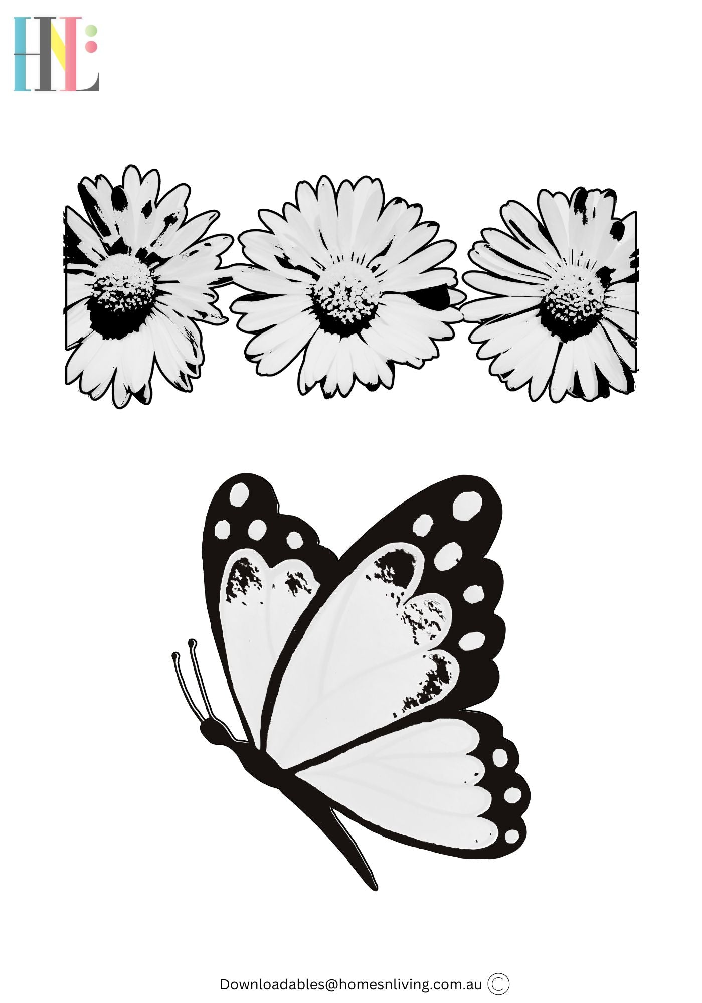 butterfly and daisy flowers