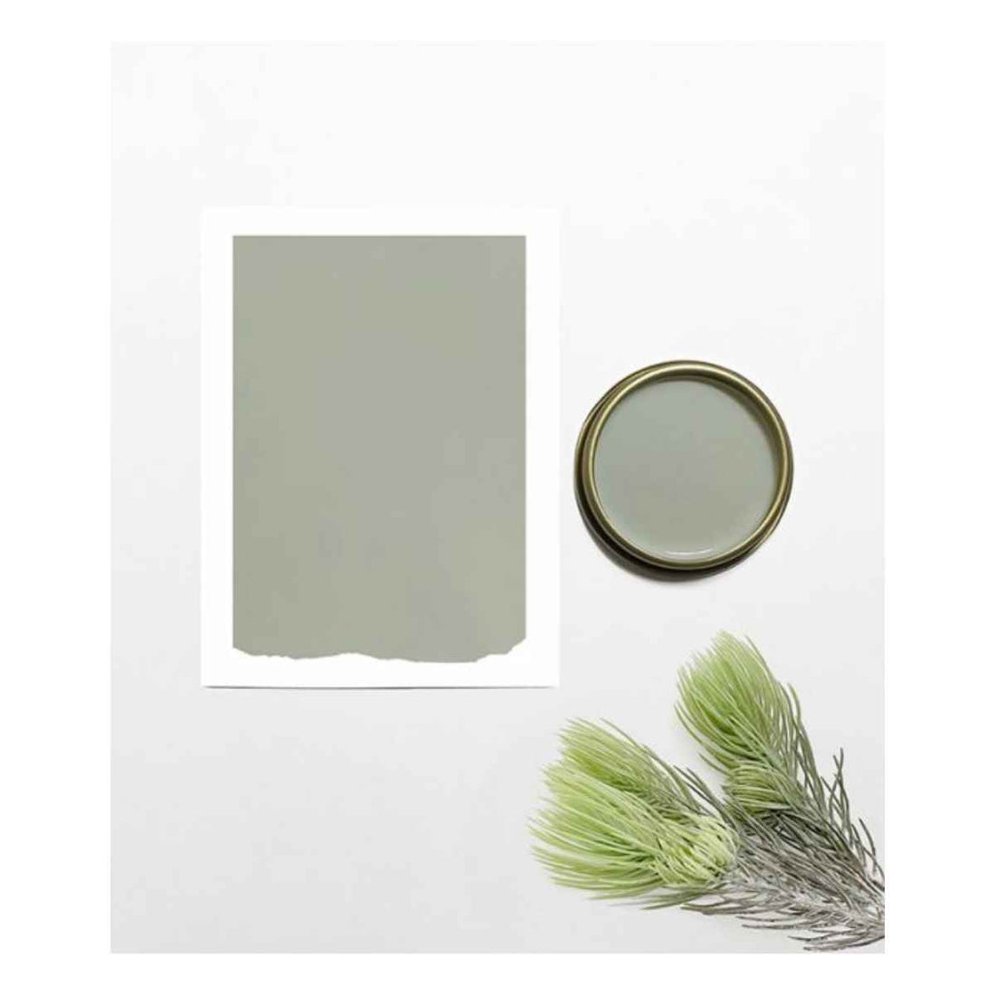 Chalk and Clay Paint For Furniture - Autumn Green