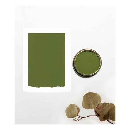 Chalk and Clay Paint For Furniture - Green Tea