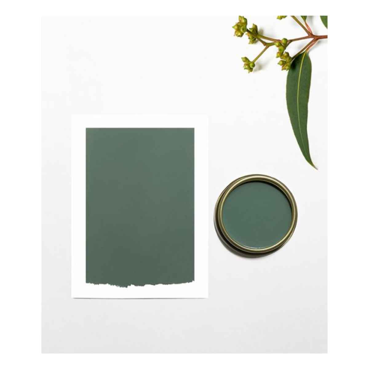 Chalk and Clay Paint For Furniture - Willow Green