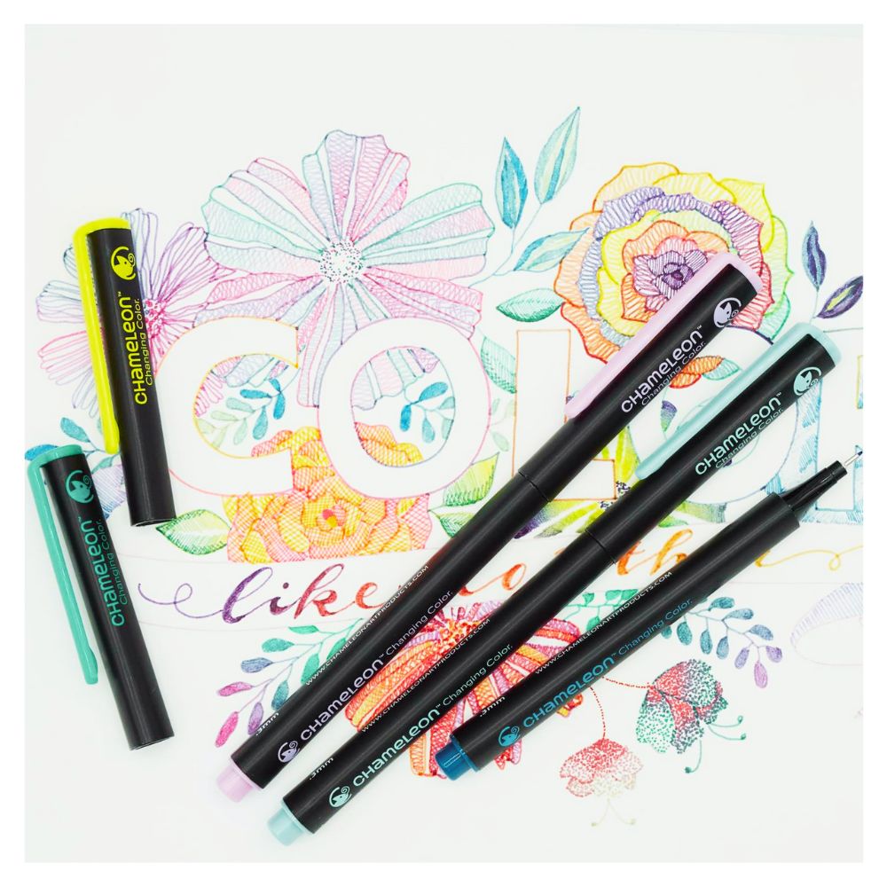 chameleon designer pen set 12 colours