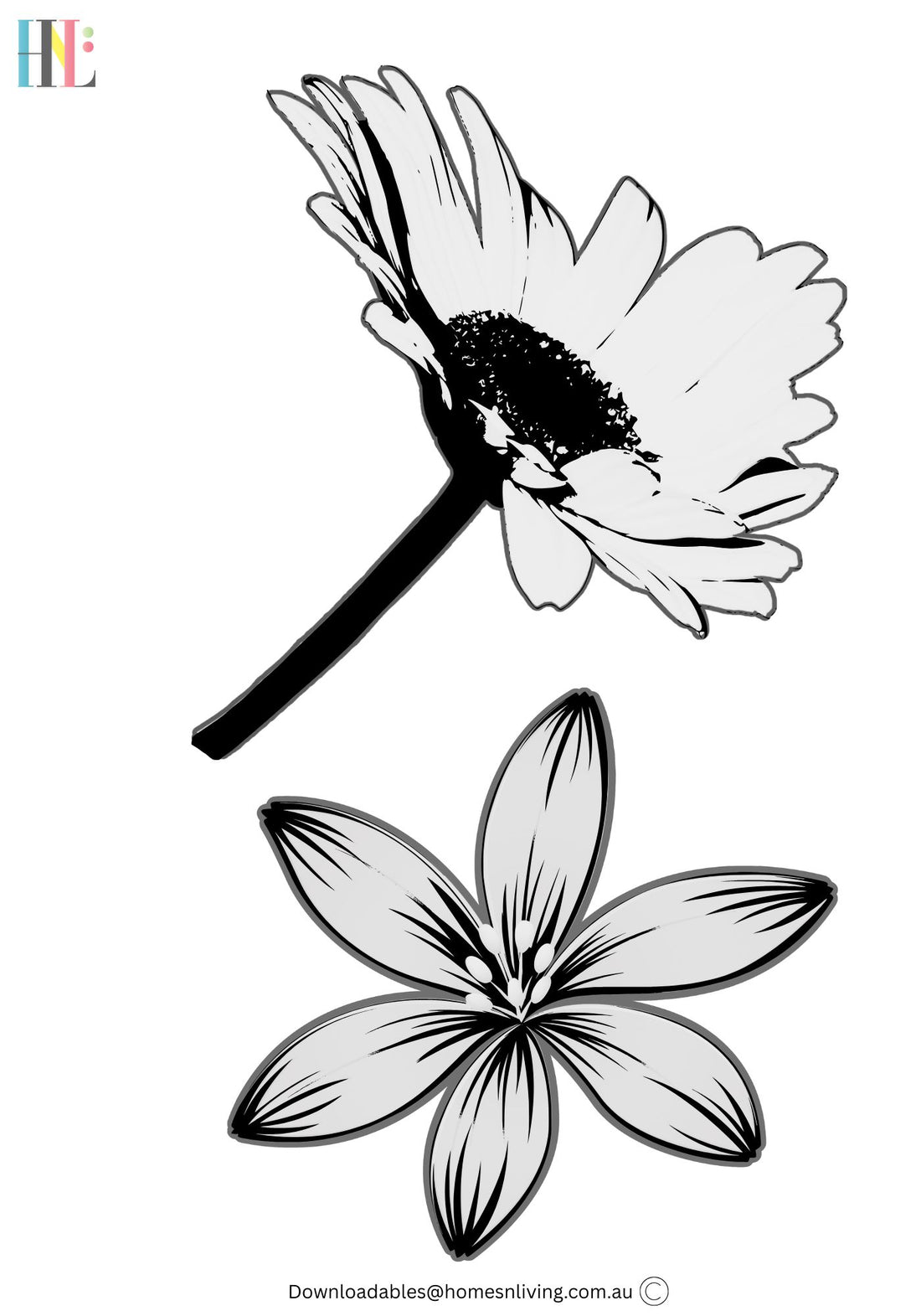 daisy flower download digital