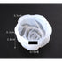 resin silicoen mold for resin 2x1